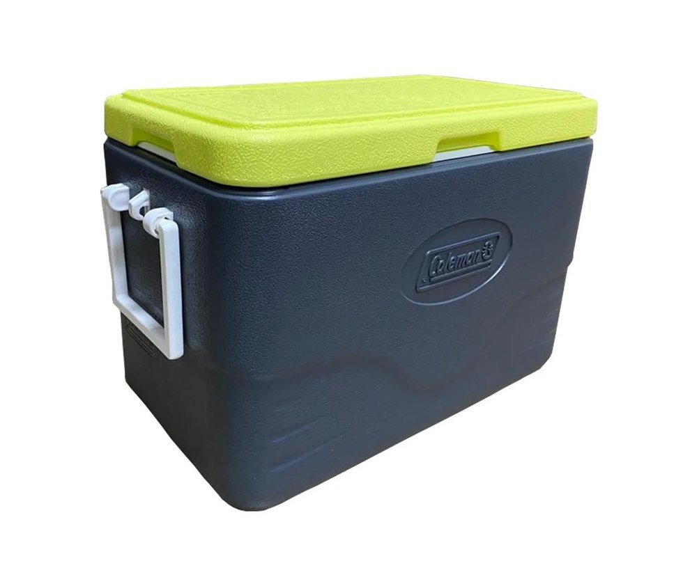 Caixa Term. 28QT 26,5L Summer Cinza - Coleman