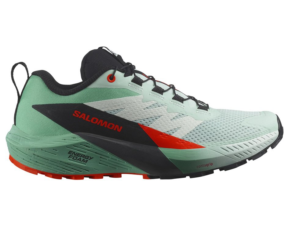 Tenis Salomon Sense Ride 5 Feminino VD/PT/VM