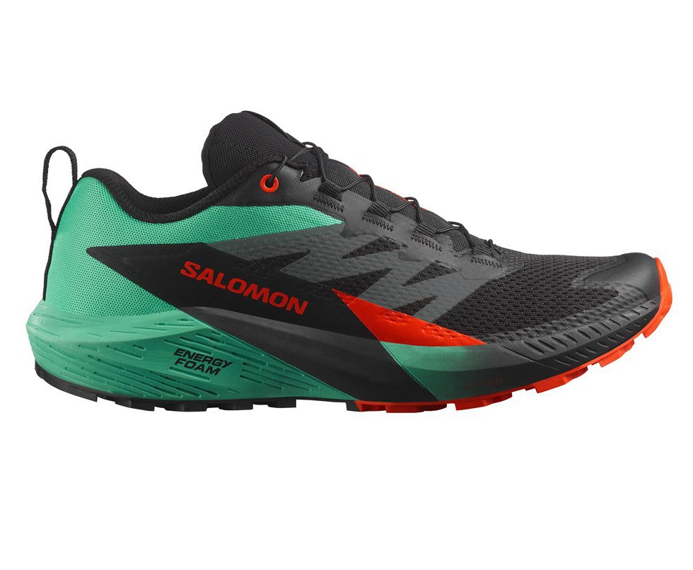 Tênis Salomon Sense Ride 5 Masculino VD/PT/LR