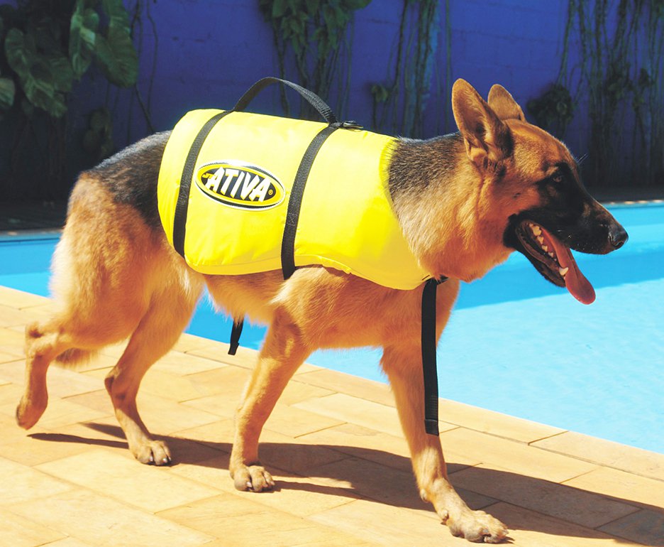 Colete Salva Vidas Para Cachorro Pet Vest Jt Ativa - Verde - Ativa - P