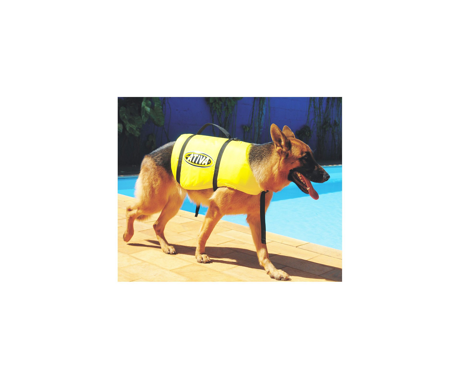 Colete Salva Vidas Para Cachorro Pet Vest Jt Ativa - Verde - Ativa - G