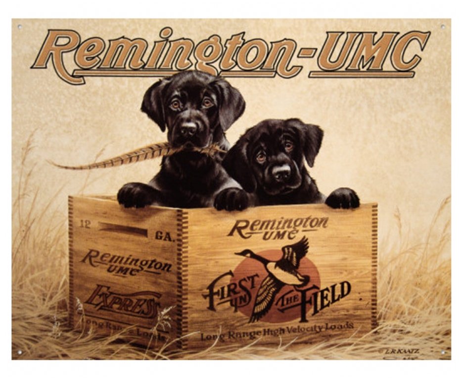 Placa Metálica Decorativa Remington Finder"s Kee - Rossi