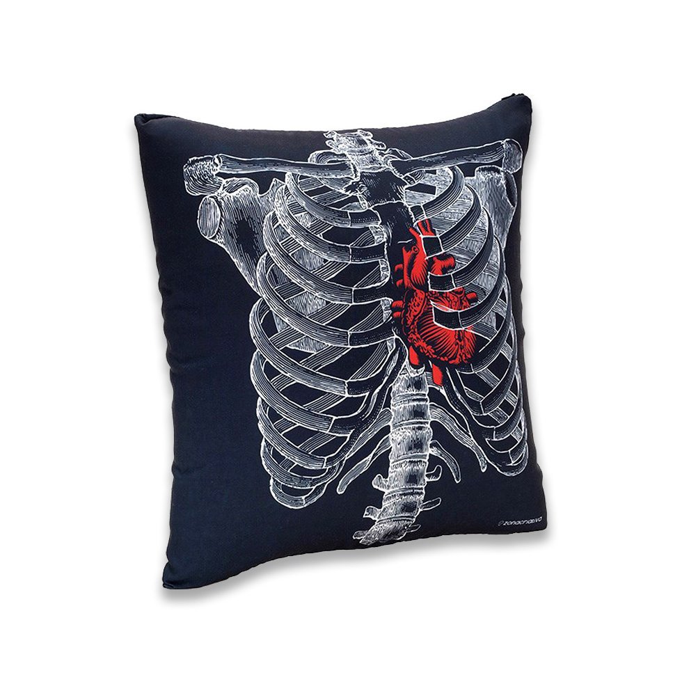 Almofada - Anatomia - Zona Criativa
