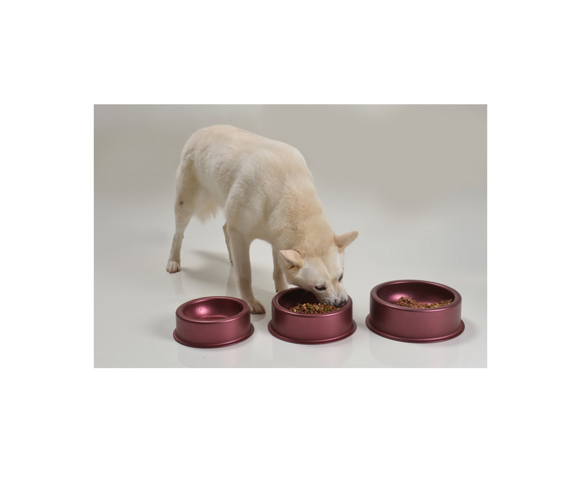 Comedouro Cão Cereja M 1.300 Ml - Zatti