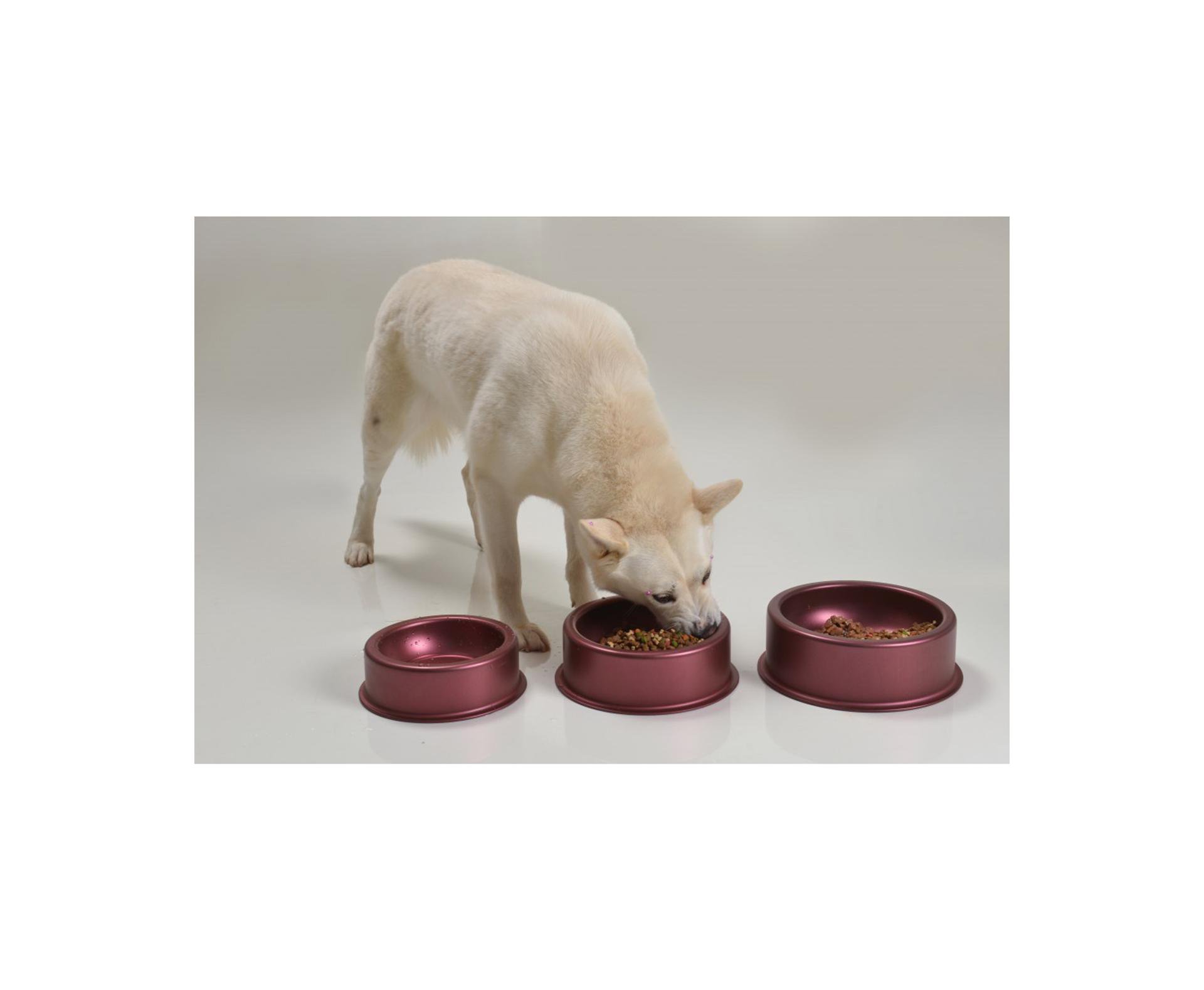 Comedouro Cão Cereja G 2.000 Ml - Zatti