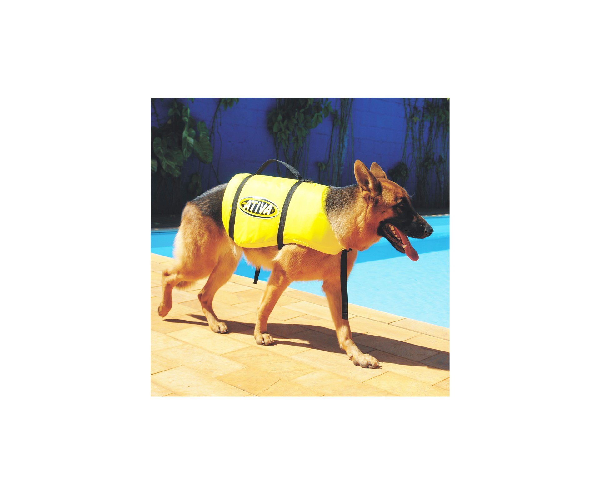 Colete Salva Vidas Para Cachorro Pet Vest Jt Ativa - Ativa - P