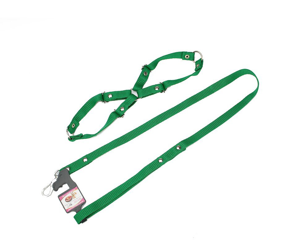 Conjunto Guia C/ Peitoral N2 - Pequeno - Furacão - Verde