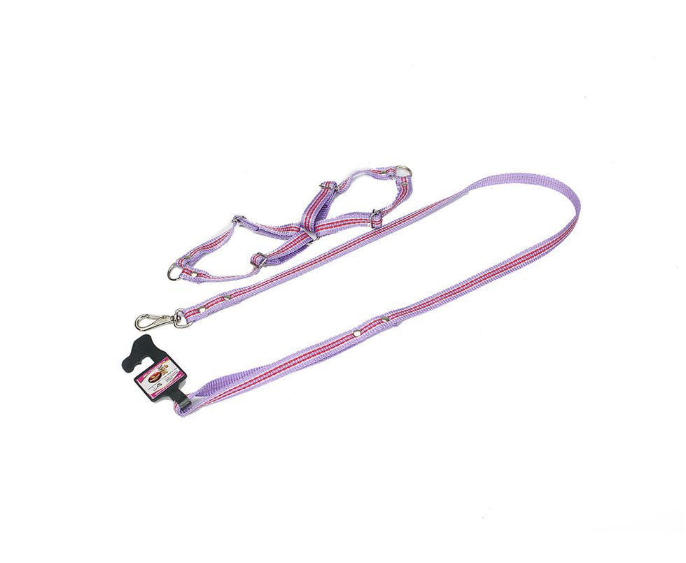 Conjunto De Guia C/ Peitoral N1 Mini - Furacãopet - Roxo