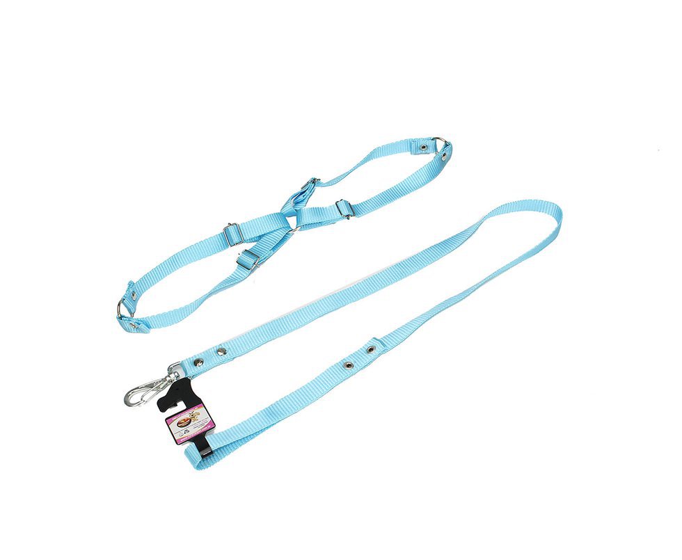 Conjunto Guia De C/ Peitoral N3 Médio - Furacãopet - Azul