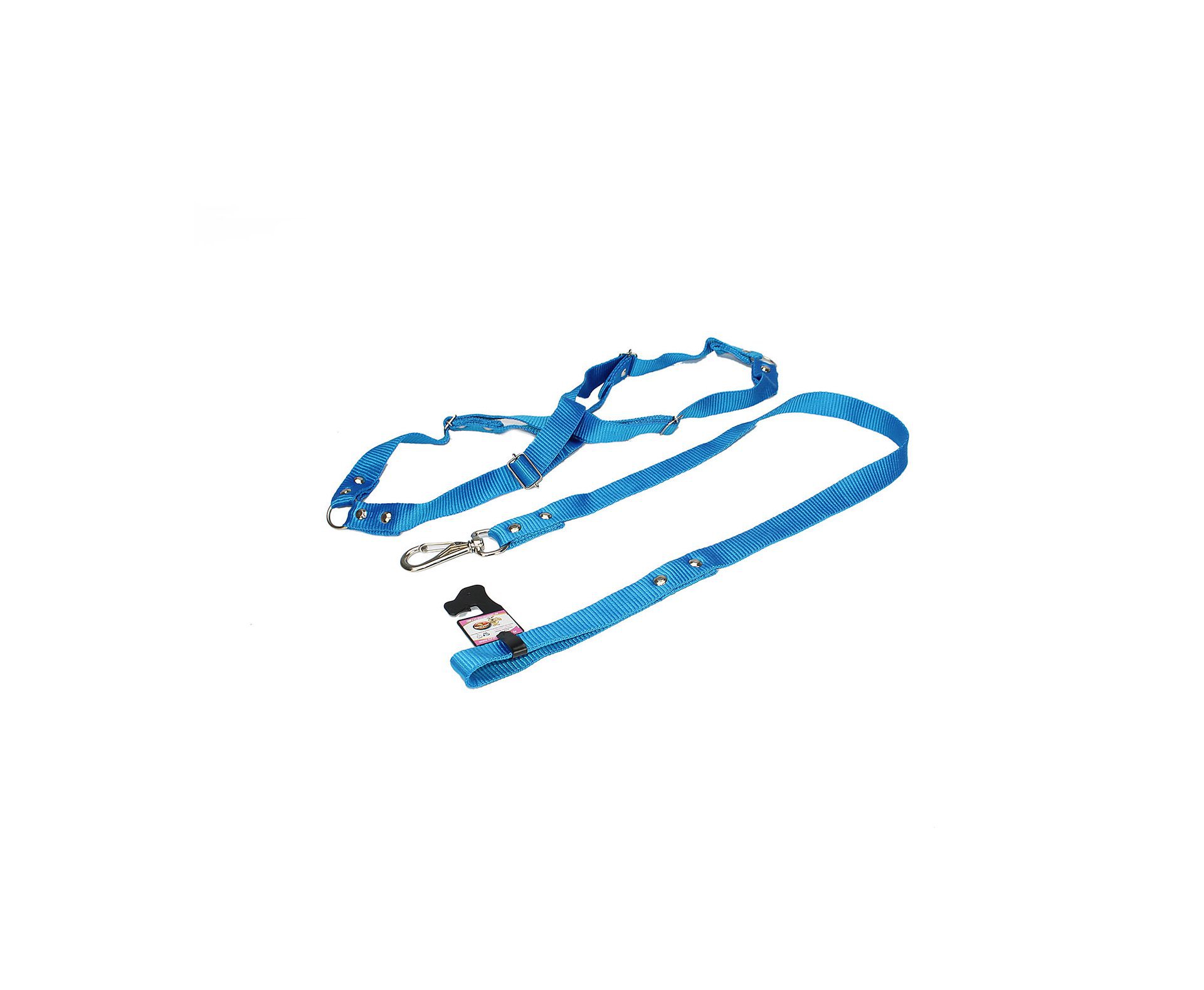 Conjunto Guia Para Cachorro Com Peitoral N4 - Grande - Furacãopet - Azul