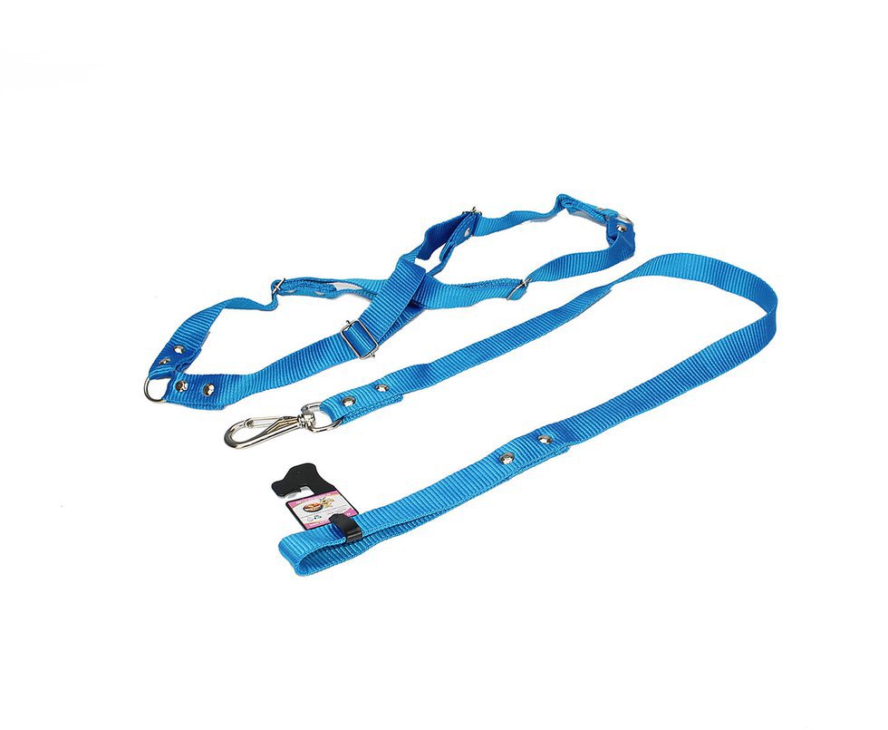 Conjunto Guia Para Cachorro Com Peitoral N4 - Grande - Furacãopet - Azul