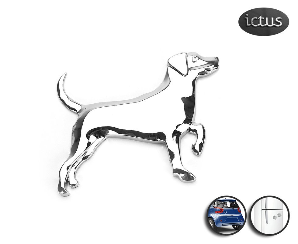 Emblema Beagle - Ictus