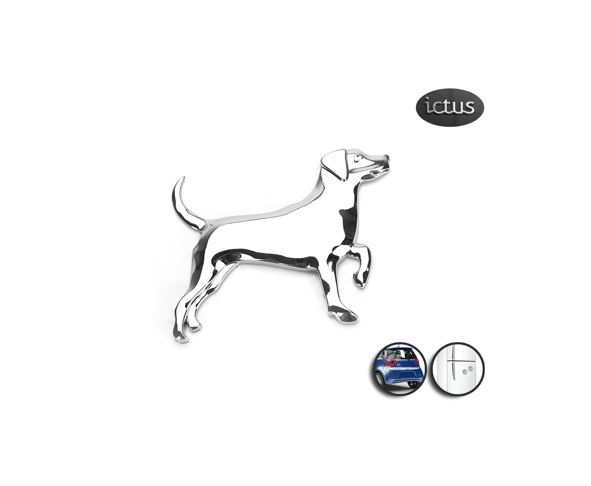 Emblema Labrador - Ictus