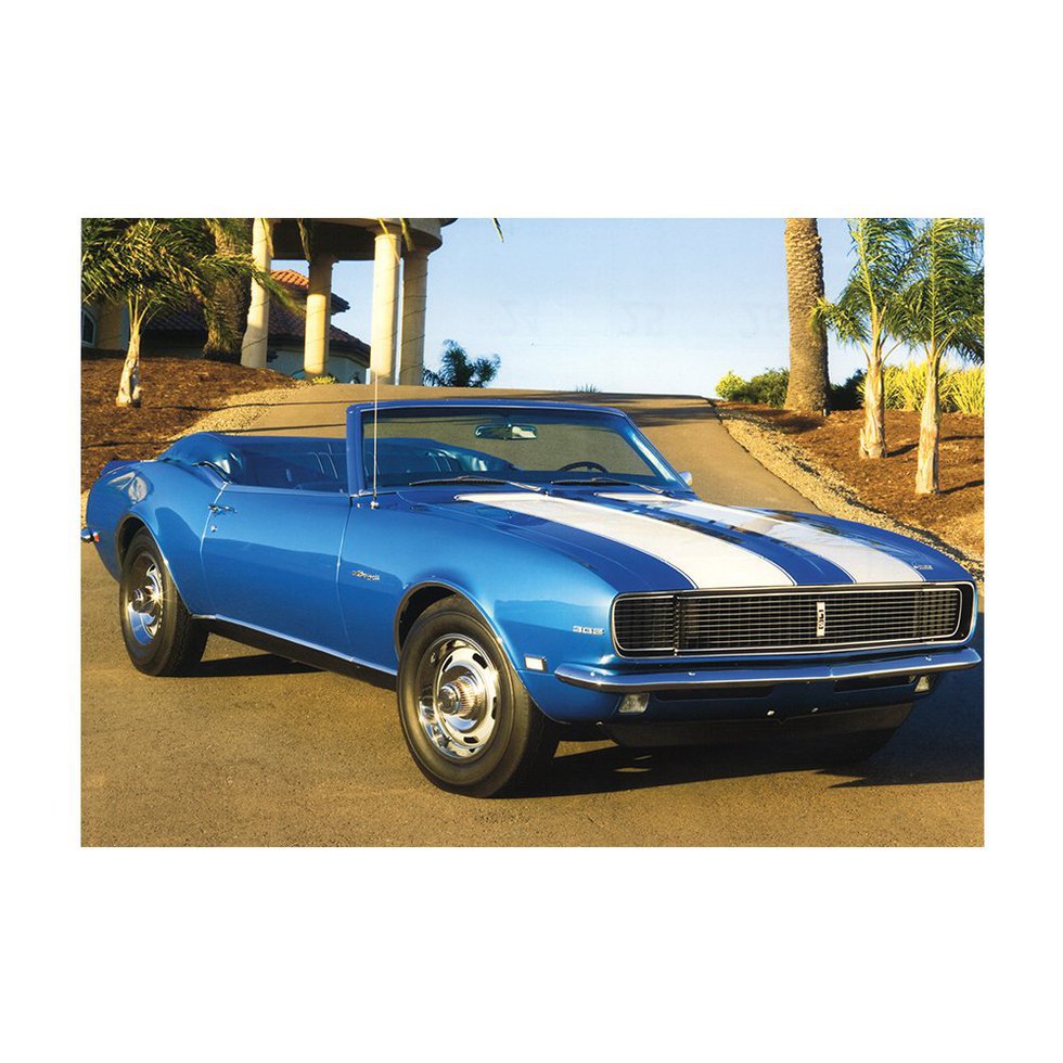 Placa All Classics Camaro 302 Azul