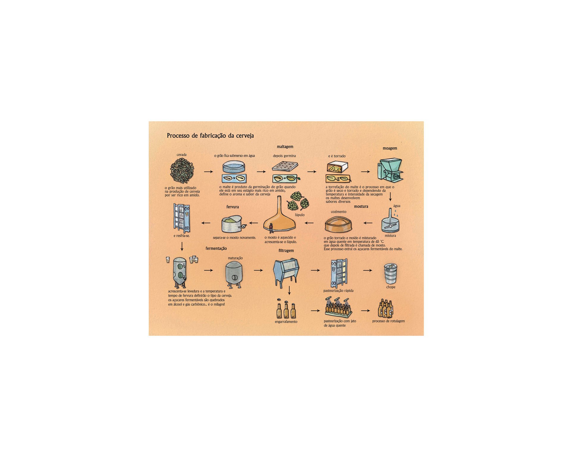 Placa All Classics Processo De Fabricação De Cerveja